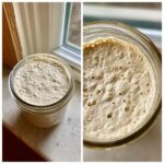 A bubbly, active sourdough starter in a glass jar, showing significant rise and aeration.